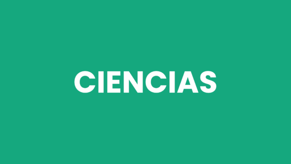 Salva Básica - Imagen 7